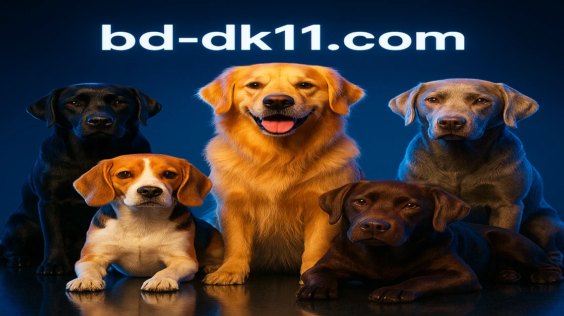DK11 গেমিং প্ল্যাটফর্মে The Dog House Megaway গেমটি খেলার জন্য উন্মুক্ত, এবং এর বন্ধুত্বপূর্ণ কুকুর-দল প্রস্তুত। পাঁচটি ভিন্ন কুকুর প্রজাতি বড় জয়ের জন্য প্রস্তুত।